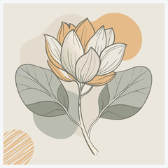 Tulip Tree Vector Illustration