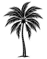 Obraz premium plam tree eps vector bundle 