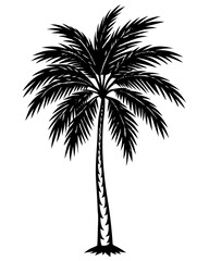 Fototapeta premium plam tree eps vector bundle 