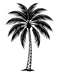 Fototapeta premium plam tree eps vector bundle 