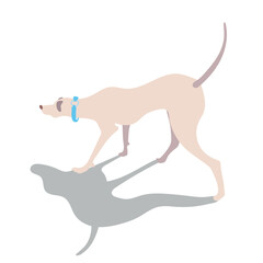 Dog in beige tones on a white background took a trail or is looking for something flat style, vector
