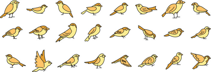 Obraz premium Set of illustrations of little birds with yellow feathers in different poses