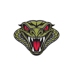Snake head.vector illustration on white background