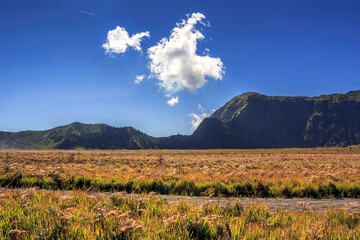 Mount Bromo in summer