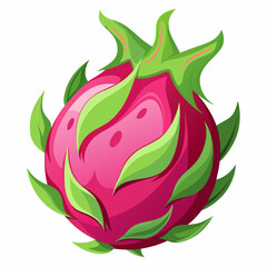 Dragon fruit  art vector illustration