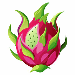 Dragon fruit  art vector illustration