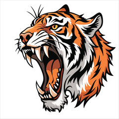 Tiger animal vector