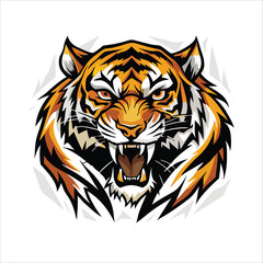 Tiger animal vector