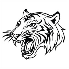 Tiger animal vector
