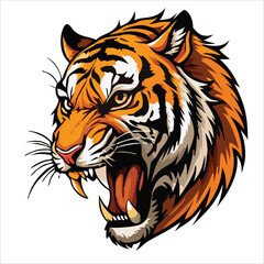 Tiger animal vector