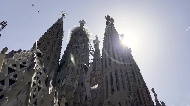 Church towers of the Sagrada Familia from a low angle with birds flying by while the sun is peaking out