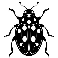 Ash grey lady beetle art vector illustrator