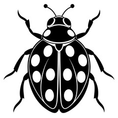Ash grey lady beetle art vector illustrator