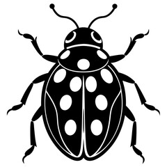 Ash grey lady beetle art vector illustrator
