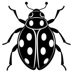 Ash grey lady beetle art vector illustrator