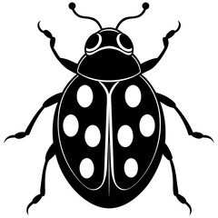 Ash grey lady beetle art vector illustrator