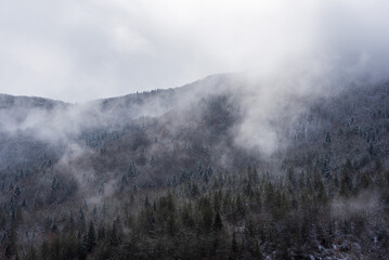 Winter scenery in mountain 