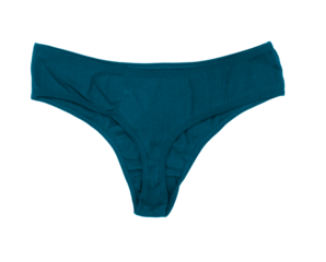 Lady's underwear cotton on isolated background.