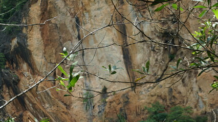 An image of a rocky cliff with a mix of gray and reddish hues, surrounded by greenery.