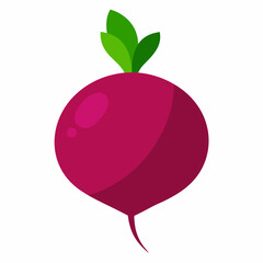 beetroot art vector