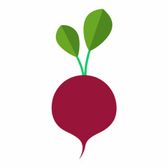 beetroot art vector