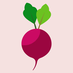 beetroot art vector