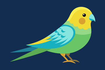 Budgerigar budgie bird vector art illustration