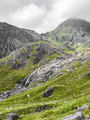 Colline galloise décolorée