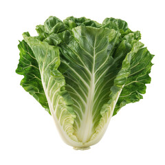 A lettuce, front view transparent background