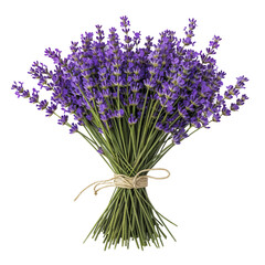 bouquet of lavender on a transparent background