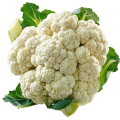 isolated fresh cauliflower on clear background