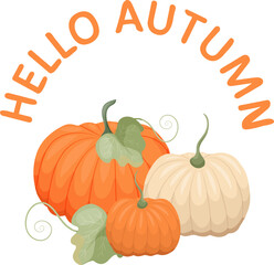 Vector orange and white pumpkins set illustration, graphic fall harvest time composition, hello autumn