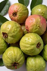 Guava Fruit Still Life and Avatar Images on White Background