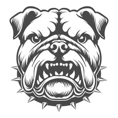 Bulldog front veiw black and white design