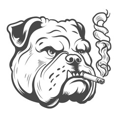 Bulldog  smooking stylish look vector design