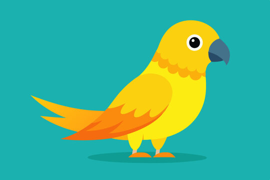 recommend clip art: Sun conure bird vector art illustration