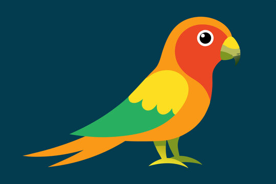 recommend clip art: Sun conure bird vector art illustration