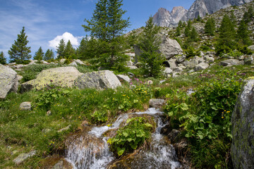 Obraz premium Plan de l'Aiguille 