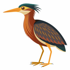 Bittern Art vector illustration