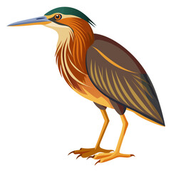 Bittern Art vector illustration