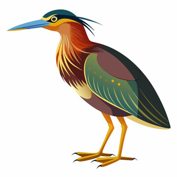 recommend clip art: Bittern Art vector illustration
