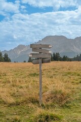 signpost in the forest