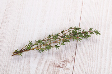Thyme - aromatic seasoning herbal plant