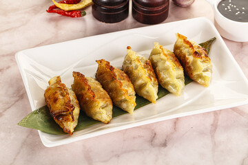 Fried Japanese stuffed dumplings - Gyoza