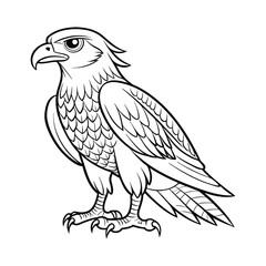 Obraz premium A black and white drawing of a hawk bird