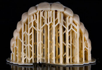 excellent composition on wax up on the upper jaw on a black background © Dental Pro Content