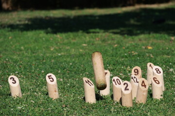 Jeu de Mölkky