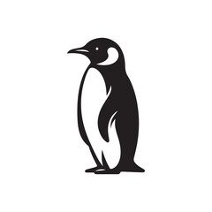 penguin vector on a white background