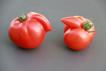 Tomates du jardin