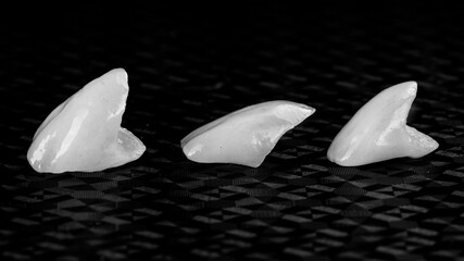 Three ceramic veneers of central cutters on a textured black background, photo in black and white style